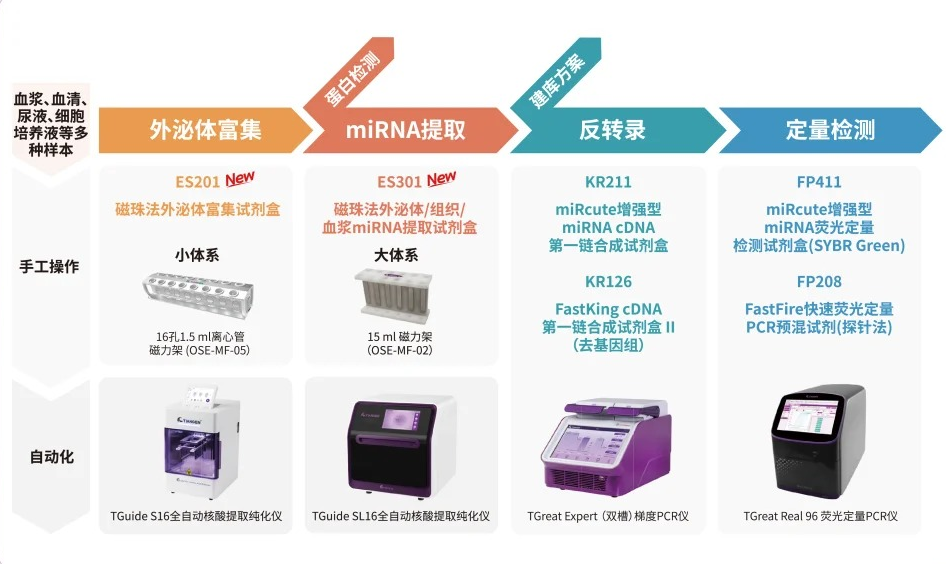 拼搏在线开户外泌体研究解决方案全景图